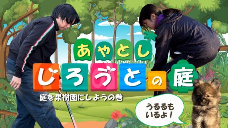 【目指せリアルあつ森】庭を果樹園にしようの巻｜庭DIYで半自給自足を目指せ！｜ブルーベリー・不知火・南高梅を植えました。