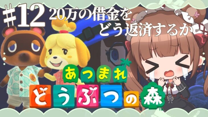 【ときどきあつ森生活 / Day.12】借金の返済方法を考えたい🏠🌳⛄【あつ森】