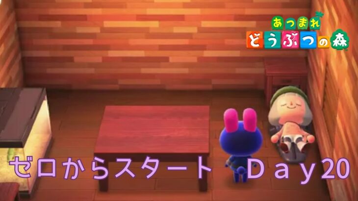 [あつ森] ゼロからスタート モモチがいる生活　Day20 [おふらんす島]