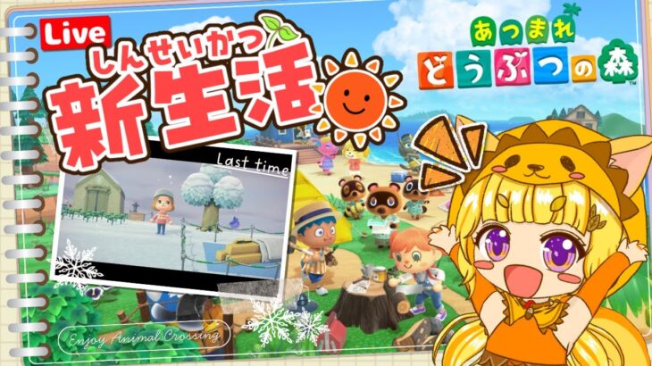 【あつ森】Day3🌳🐿️博物館とお店が立つぞ～！アレコレ楽しみ！✨