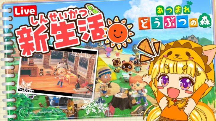 【あつ森】Day4🌳🐿️博物館OPEN&お家改築！楽しみ～！✨