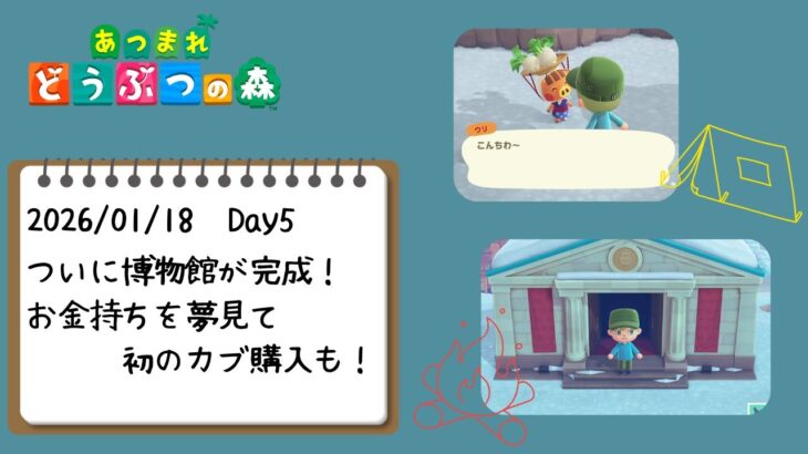 【あつ森】Day5 ついに博物館が完成！お金持ちを夢見て初のカブ購入も！