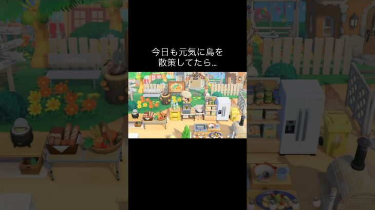 GOGOマッスル🥺 #あつ森 #あつまれどうぶつの森 #あつ森好きな人と繋がりたい #animalcrossing #おかめなっ島 #acnh #comedy #ちゃちゃまる #shorts
