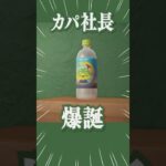 【KAPA HOTEL】カパ社長ウェルカムウォーターを作りました【あつ森】