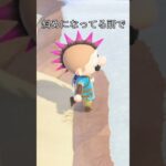 足場の悪いところでLボタンを押すと　#あつ森 #あつまれどうぶつの森