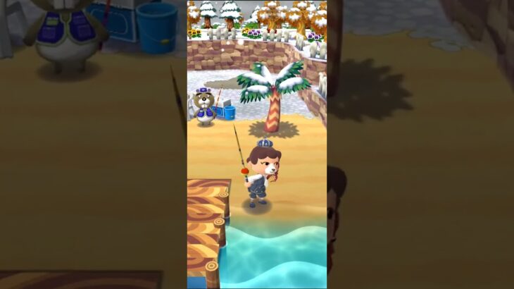 M_251219         #Nintendo #AnimalCrossingNewHorizons #ポケ森 #PocketCamp #acnh #ゲーム #あつ森 #Games #動物森友會