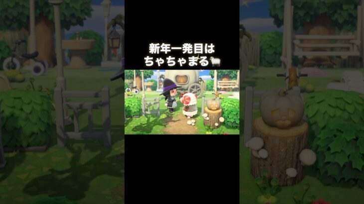 NEW YEAR ちゃちゃまる✨️ #あつ森 #あつまれどうぶつの森 #あつ森好きな人と繋がりたい #animalcrossing #ゆめみ #おかめなっ島 #acnh #comedy #shorts
