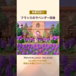 あつ森 島紹介 フランスの田舎島 (Neverland Island)