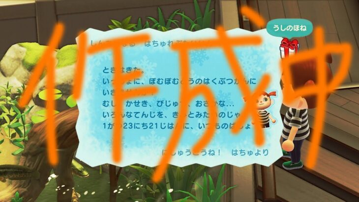 【#あつ森 】博物館デート…しよ♥ #初見さん大歓迎 【あつまれどうぶつの森 / Nintendo Switch2】