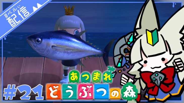 あつ森初心者、念願のマグロ美味しそう『カブの日Part：６』【あつまれどうぶつの森】【配信】#21