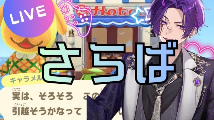 【あつまれどうぶつの森】ミッチェル探しの旅　Part5