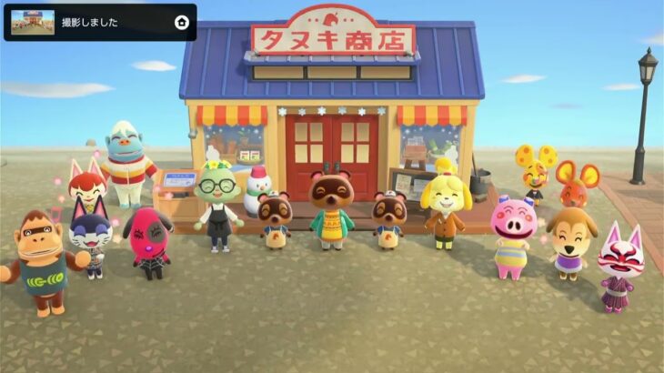 【あつ森】バグったので初期化(;´･ω･) Pt.8