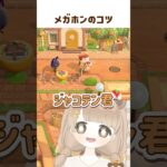 あつ森アプデ｜Switch2 Editionのメガホンが楽し過ぎる 📢