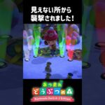 見えない所からの襲撃！【あつ森】【Switch2Edition】【ACNH】【あつまれどうぶつの森】#shorts #あつ森