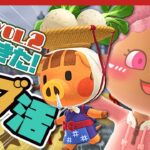 【あつ森 | Switch2】カブ活で金策がんばるぞー！💰【HIPHOP島】