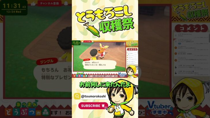 【#あつ森】ジングルお前何しに来た【諸越とも / VTuber準備中】 #shorts