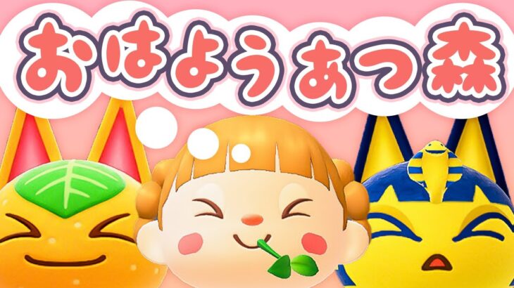 Ver.3.0アプデ後ルーティン！朝活🐓おはようあつ森！1/27(火)