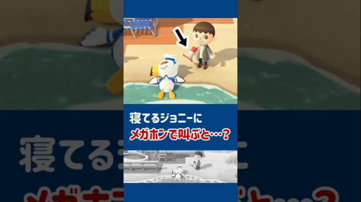 【あつ森】寝てるジョニーにメガホンで叫ぶと……【小ネタ】【あつまれ どうぶつの森】【Ver.3.0／Nintendo Switch 2 Edition】#あつ森 #あつまれどうぶつの森