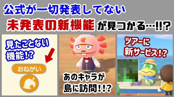 【あつ森】公式が一切発表してない「未発表の新機能」が大量に見つかる！！Ver.3.0アプデ＆Switch 2 Editionに隠れた細かすぎる小ネタ集！【あつまれ どうぶつの森】@レウンGameTV