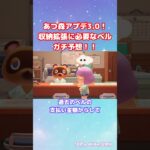 【あつ森】ガチ予想！Ver.3.0アプデで収納拡張に必要なベルはいくら！？#shorts #あつまれどうぶつの森