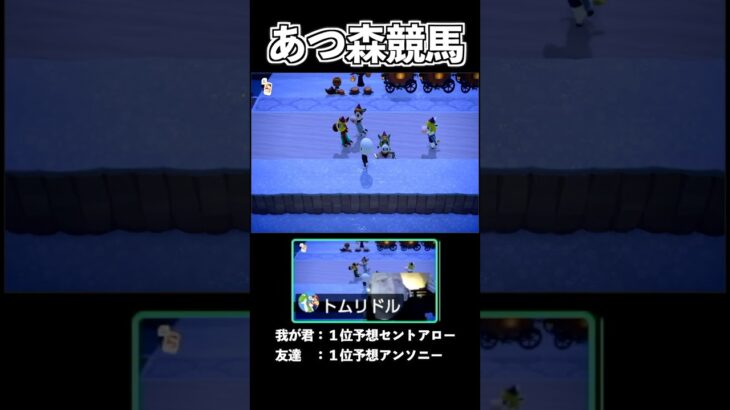 衝撃のラストWWWあつ森界最速を決めるガチ競馬#あつ森ダービー #あつまれどうぶつの森