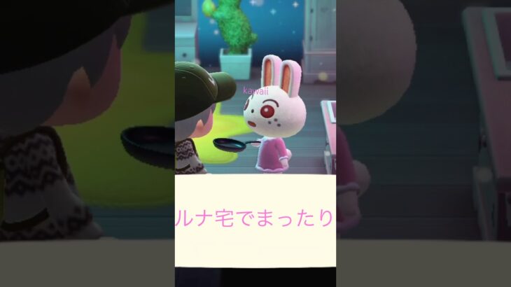 ルナ宅でお昼寝しました #あつ森 #あつまれどうぶつの森 #acnh #ルナ