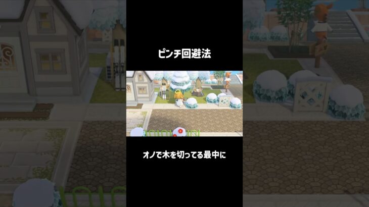 これは知らなかった😳#あつ森 #あつまれどうぶつの森 #ハチ #acnh #animalcrossing