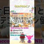 【ウェイウェイ⤴】#あつ森 #acnh #どうぶつの森 #animalcrossing #あつ森ショート #short #アップデート