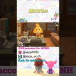 【早とちり】#あつ森 #acnh #どうぶつの森 #animalcrossing #あつ森ショート #short #アップデート