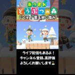 【あつ森】いくぞ！雪玉揃い踏み #acnh #animalcrossing #あつ森 #あつまれどうぶつの森 #あつ森vlog #ゆきだるま