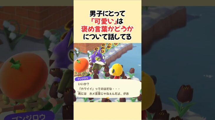 可愛いはダメ？ #あつ森 #あつまれどうぶつの森 #ショート #ゲーム #acnh  #animalcrossingnewhorizons #どうぶつの森 #animalcrossing