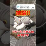 【あつ森】ねこのぬいぐるみの入手方法！どこで買える？条件まとめ #あつ森 #あつまれどうぶつの森 #猫 #猫のいる暮らし #acnh #cat