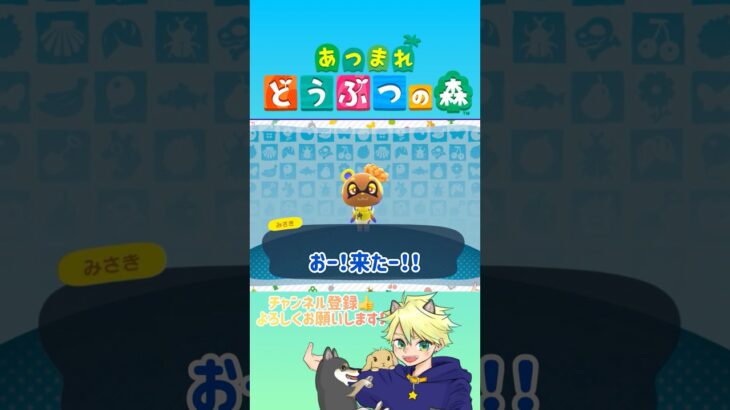 amiiboで呼ぶみさきが可愛いなのじゃ☺️ #shorts #あつ森 #あつまれどうぶつの森