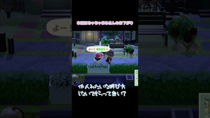 ちゃちゃまるさん友達だよね #あつ森 #あつまれどうぶつの森 #animalcrossing