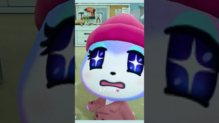 みすずが可愛すぎて作業止まった🐾#あつ森 #あつまれどうぶつの森 #みすず  #住民の歌 #癒し #可愛い #animalcrossing