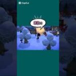 【#あつ森#animalcrossing 】正月明けて🏝️まったりLife🌲