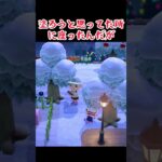 かまってほしいのか？ #あつ森 #あつまれどうぶつの森 #ゲーム #animalcrossing #ショート  #どうぶつの森 #acnh  #animalcrossingnewhorizons