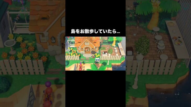 何してるの❓①  #あつ森 #あつまれどうぶつの森 #あつ森好きな人と繋がりたい #animalcrossing #ゆめみ #おかめなっ島 #acnh #comedy #shorts #ジャック