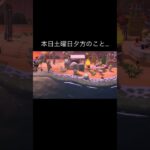 嘘でしょ…😭 #あつ森 #あつまれどうぶつの森 #あつ森好きな人と繋がりたい #animalcrossing #ゆめみ #おかめなっ島 #acnh #comedy #忘却 #釣り #shorts