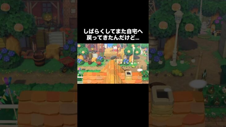 何してるの❓② #あつ森 #あつまれどうぶつの森 #あつ森好きな人と繋がりたい #animalcrossing #ゆめみ #おかめなっ島 #acnh #comedy #ジャック #shorts