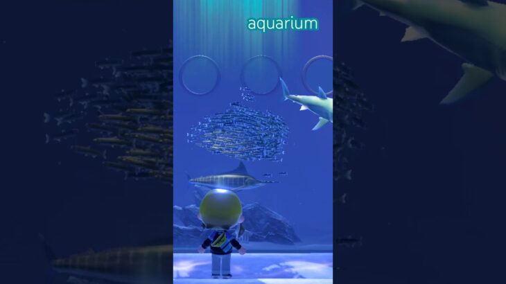 【あつ森】博物館内のアクアリウム🐠。⚪︎◦゜ #あつ森 #あつまれどうぶつの森 #animalcrossing #aquarium #水族館