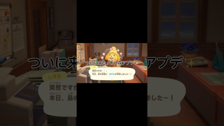 とうとうこの日がやってきました！！！あつ森大型アップデート✨便利になりすぎじゃない？？ #あつ森 #animalcrossingnewhorizons #アプデ #アップデート