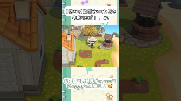 【何書けばいいの？】放置島開拓日記 day2 【あつ森 】