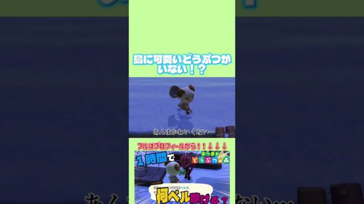 【#あつ森 】どうぶつがまあまあイカつい… #game #gaming #あつまれどうぶつの森 #gameplay #fyp #shorts