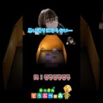 【あつ森】これ共感してくれる人いる？家具の向きが一生合わない。   #あつ森 #あつまれどうぶつの森  #nintendo  #あるある