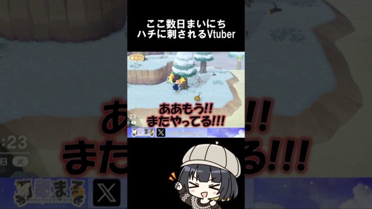 またまたまたまた刺される#あつまれどうぶつの森 #あつ森 #ゲーム実況 #切り抜き #nintendo #かわいい #ぶいすぽ #ホロライブ #にじさんじ #釣り #japan #animals