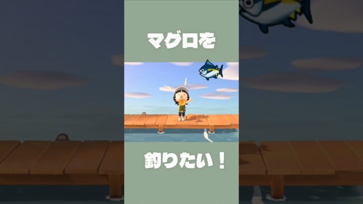 マグロを釣るまで終われません🐟/前編#あつ森#日常#short