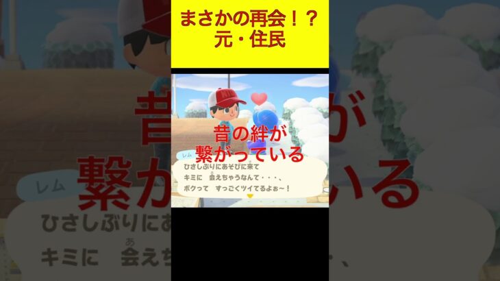 まさかの再会！？元・住民 #あつまれどうぶつの森 #shorts #あつ森