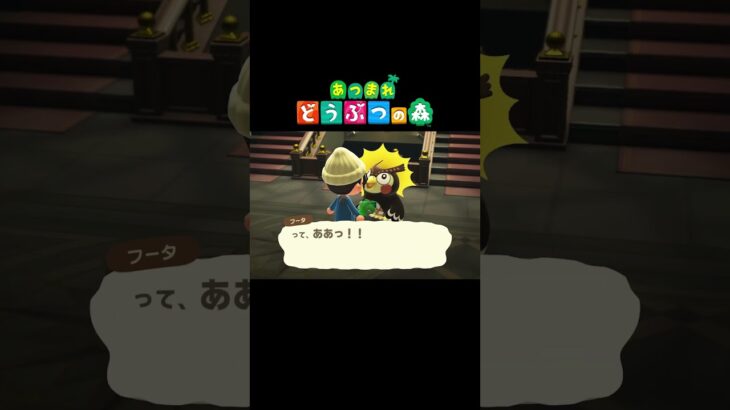 【あつ森】また騙されたかもしれない #あつ森 #shorts  #あつまれどうぶつの森 #ゲーム配信