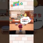 【あつ森小ネタ】今日もたぬきちは不在です#shorts  #あつ森 #あつまれどうぶつの森